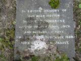 image of grave number 790738